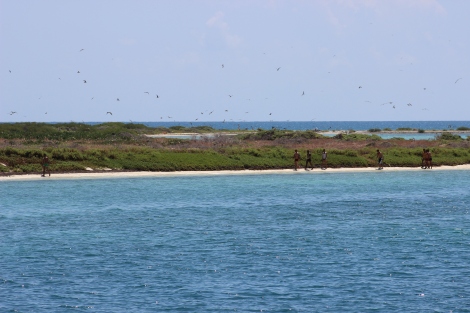 Exhausted, the Cuban immigrants walk along the Bush Key beach, to be greeted by a Dry Tortugas National Park ranger. Photo Source: Matthew Toro. August 4, 2015.